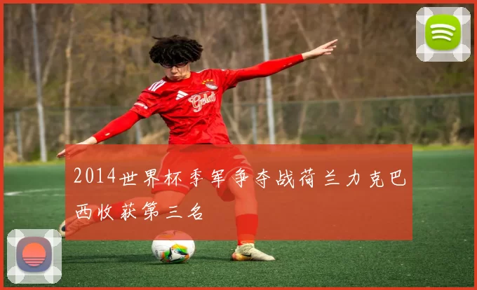 2014世界杯季军争夺战荷兰力克巴西收获第三名