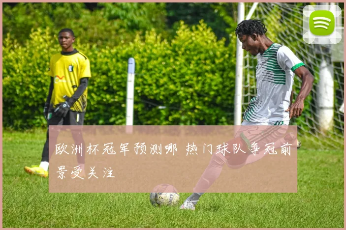 欧洲杯冠军预测哪 热门球队争冠前景受关注