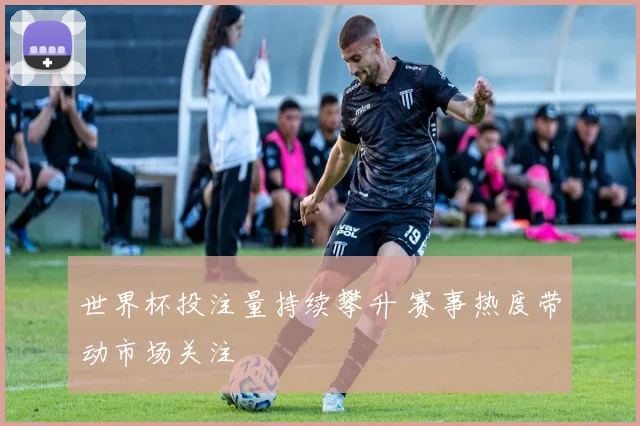 世界杯投注量持续攀升 赛事热度带动市场关注