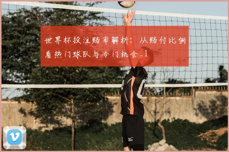 世界杯投注赔率解析:从赔付比例看热门球队与冷门机会_1