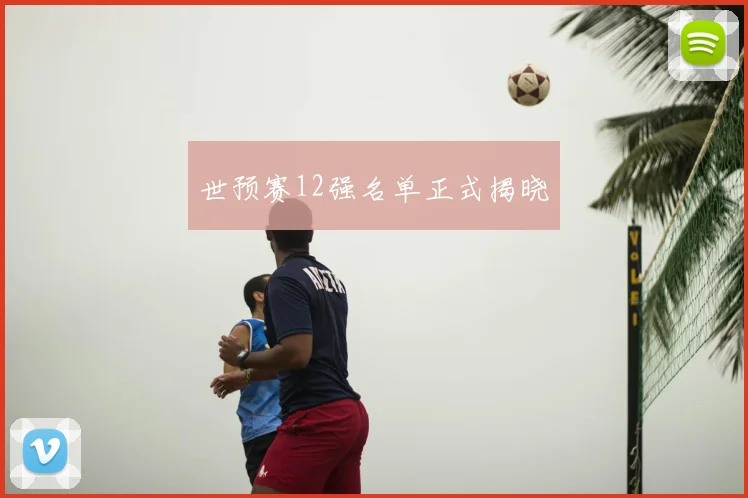 世预赛12强名单正式揭晓